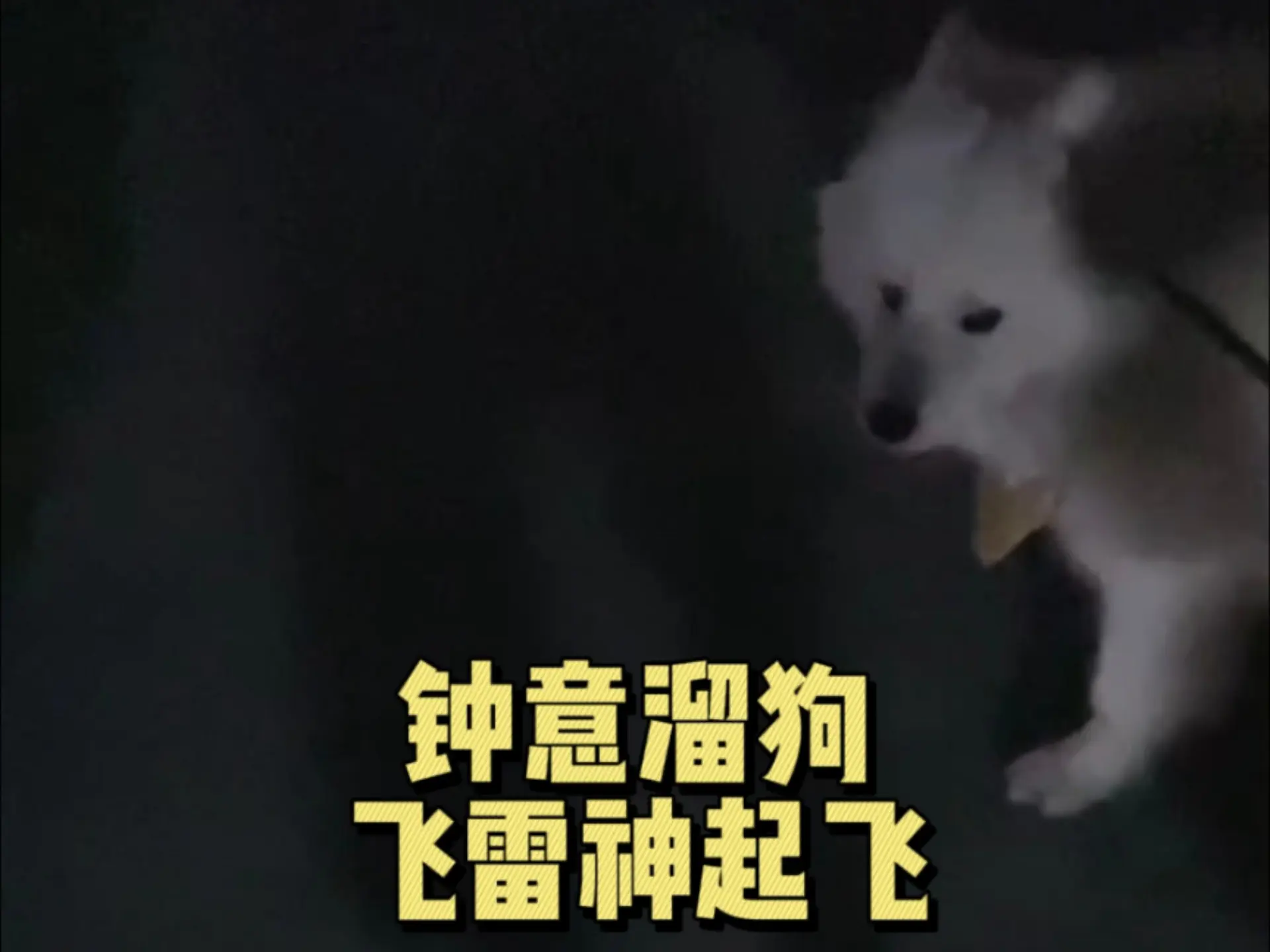 【钟意】mini野溜狗,飞雷神起飞_哔哩哔哩_bilibili