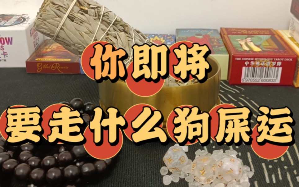 狗屎运图片表情包图片