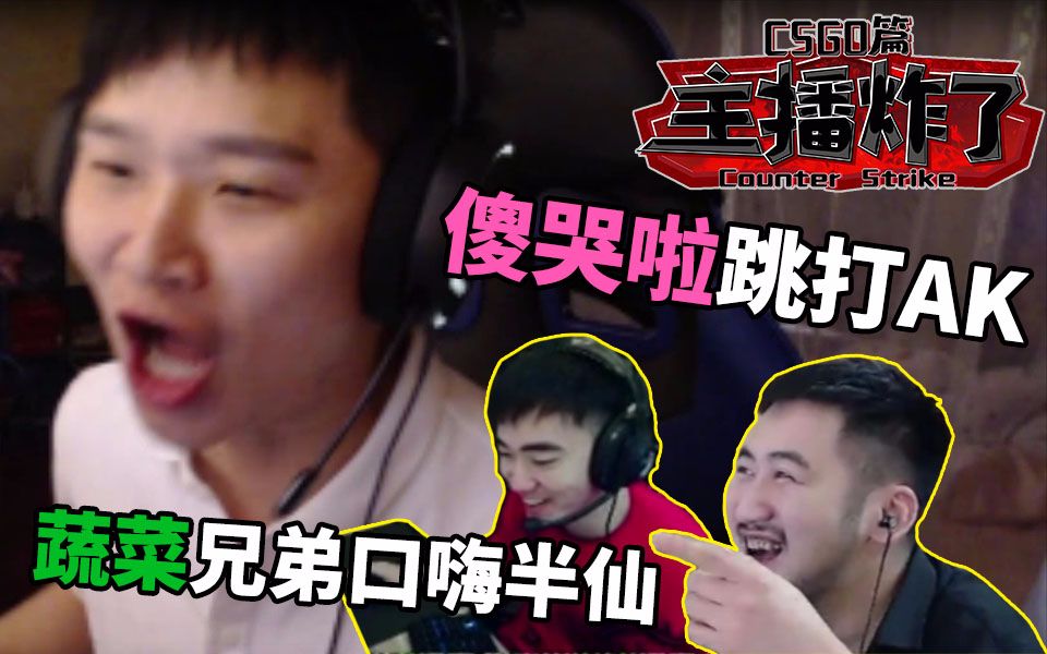 主播炸了csgo篇03:蔬菜兄弟口嗨半仙 ·傻哭啦跳打ak教学