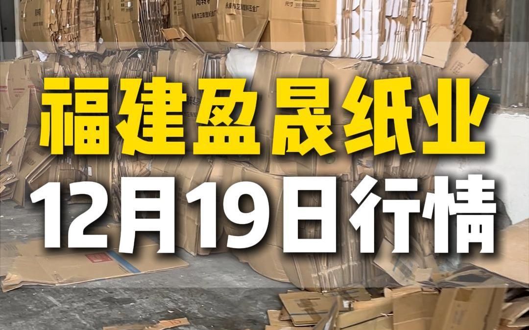 12月19日福建漳州盈晟纸业今日行情参考哔哩哔哩bilibili