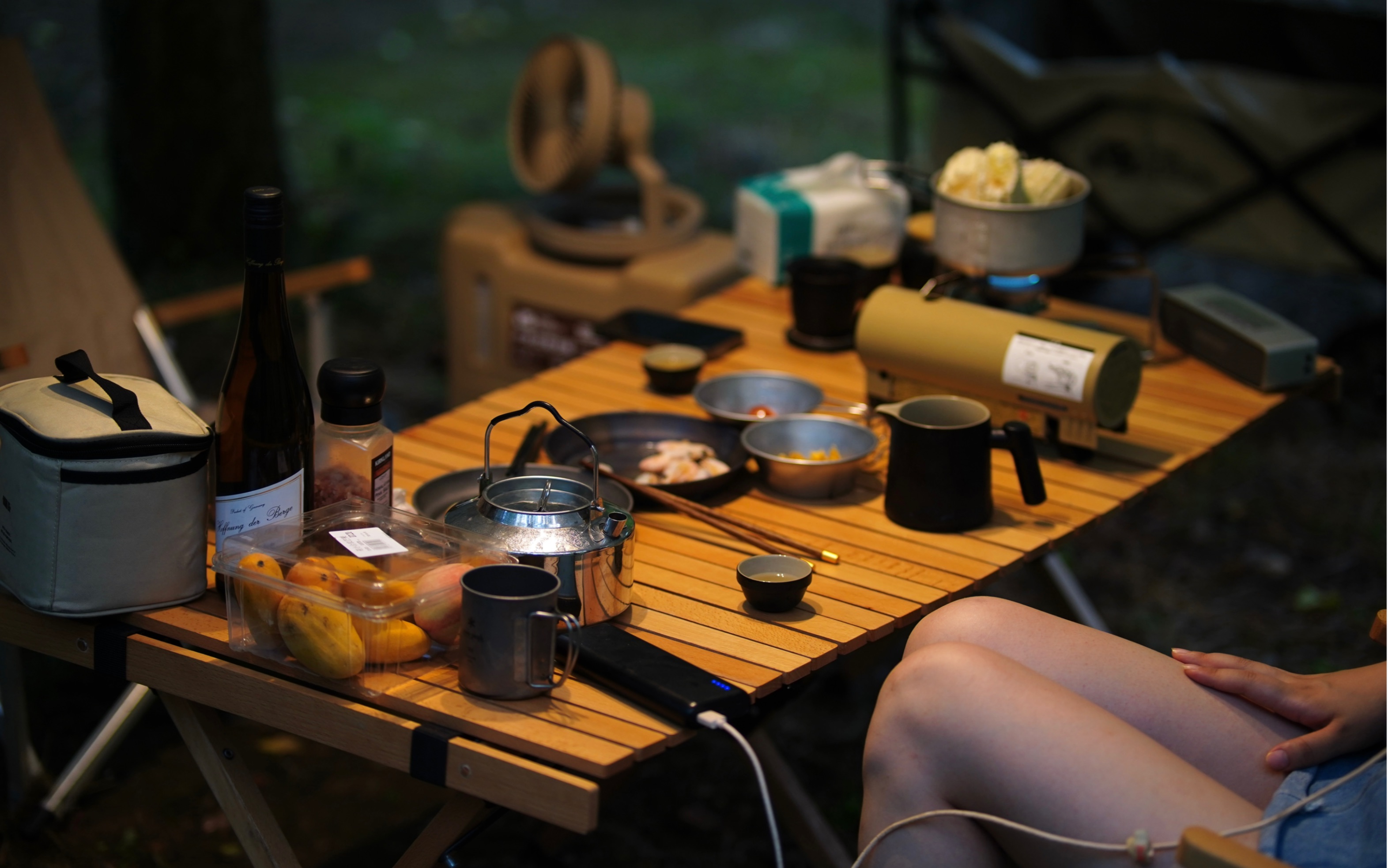 第一个露营做饭vlog