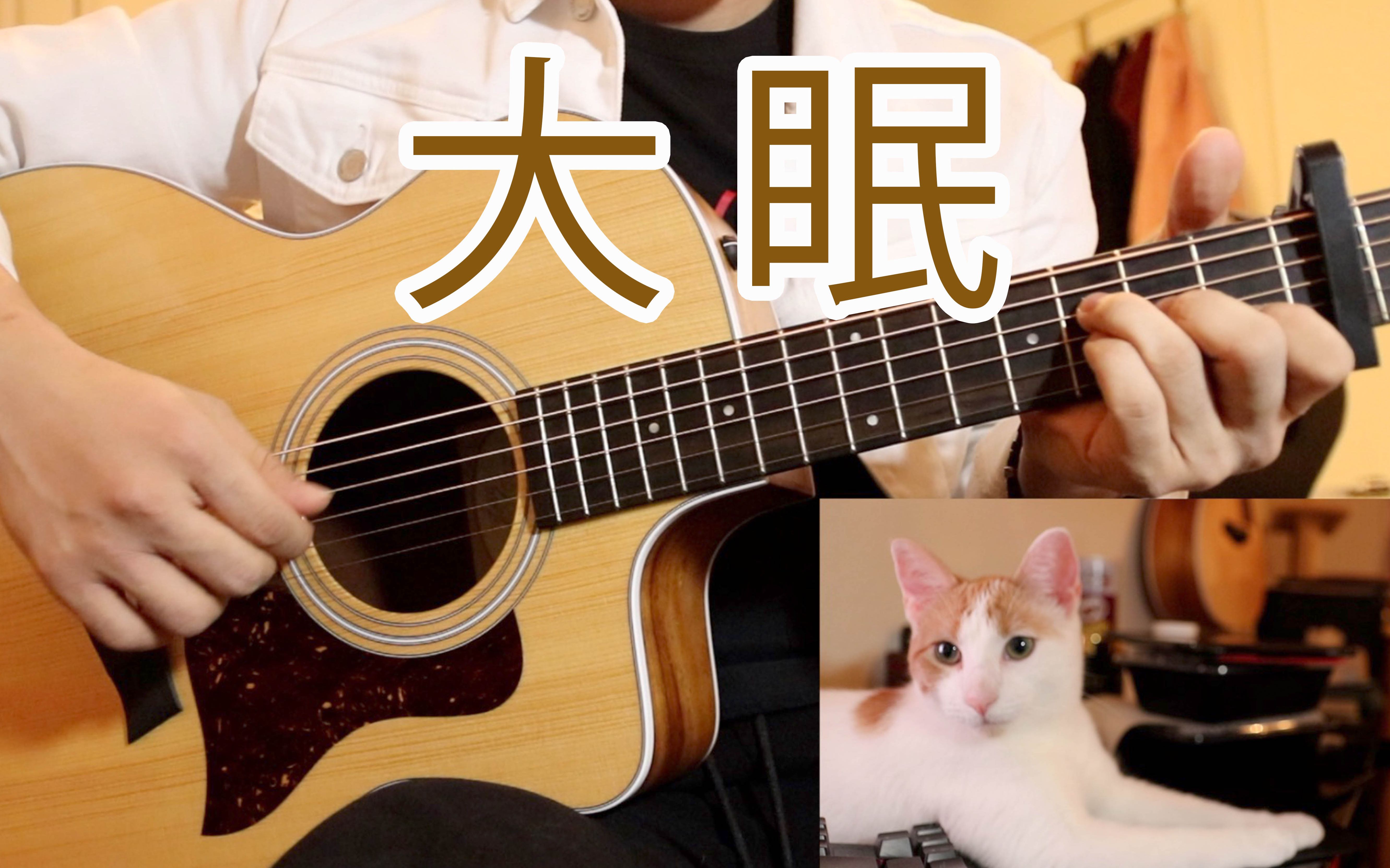 【吉他弹唱】大眠 cover 王心凌/小乐哥 我家猫都听哭了