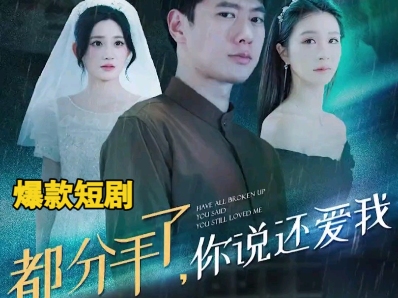 都分手了,你还说爱我(1—379集全集无删减完整版)哔哩哔哩bilibili