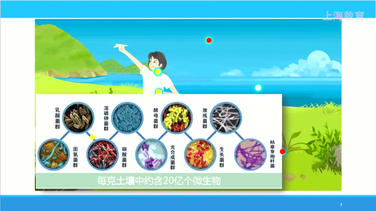 2无处不在的微生物