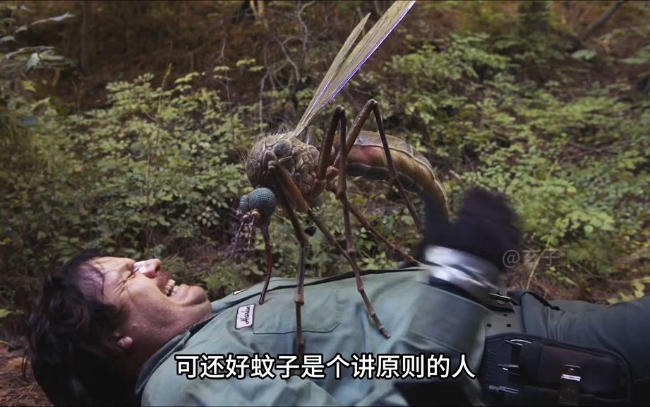 这是一只极其恐怖的蚊子,只要被它叮到的人就被瞬间变成蚊子