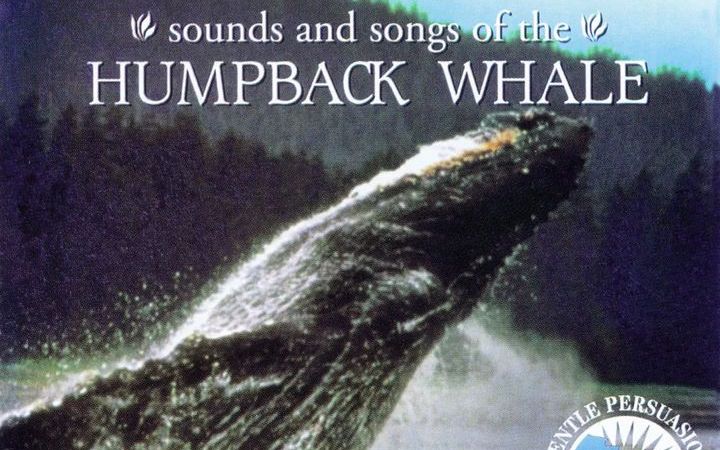 [图]Sounds and Songs of the Humpback Whale