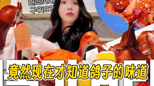 【EL中字】来广州吃鸽子了 | 250529 solarsido