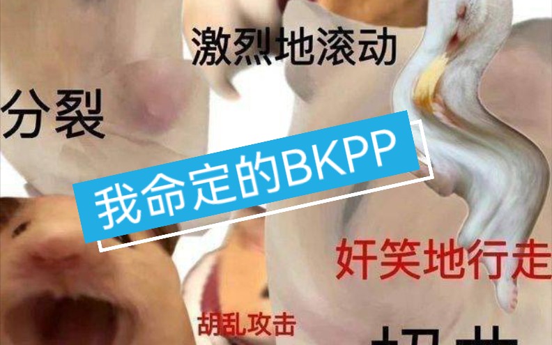 【BKPP的一天】感谢bkp让我看到他们的日常,自己不敢想,bkp直接甩我脸上让我看哔哩哔哩bilibili