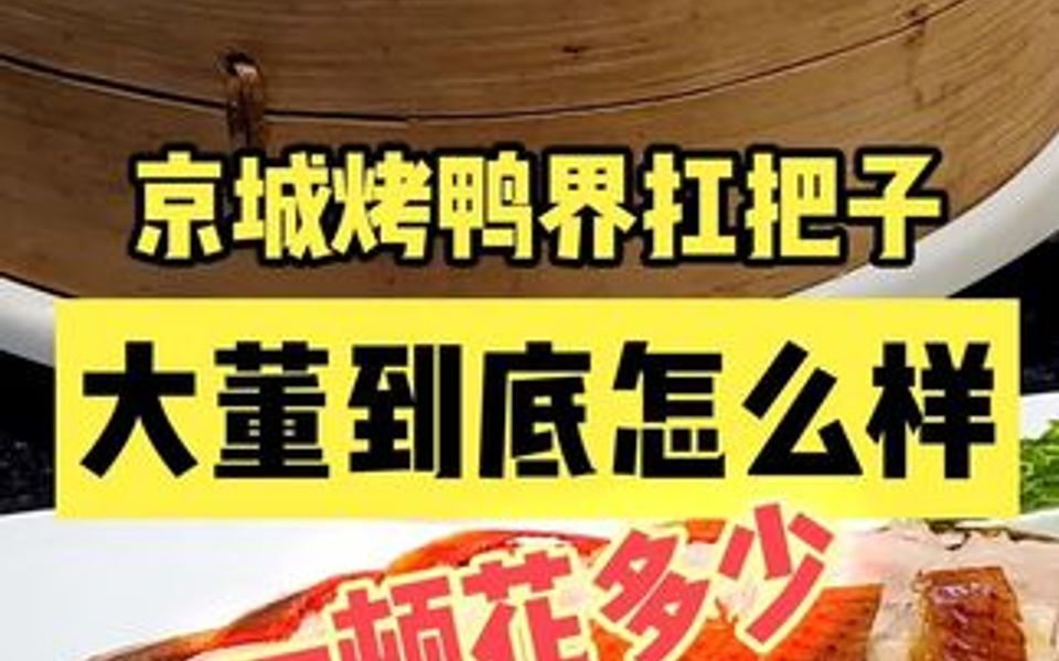 京城烤鸭界扛把子,大董到底怎么样?哔哩哔哩bilibili