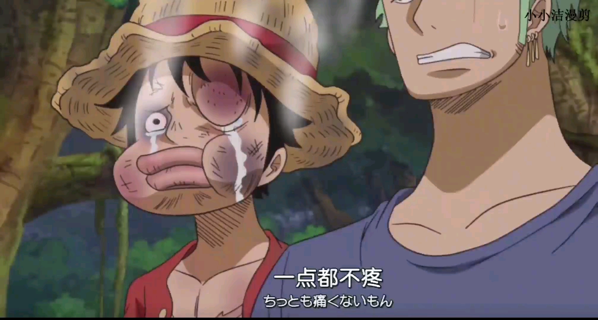 路飞不是在被打 就是在打架的路上