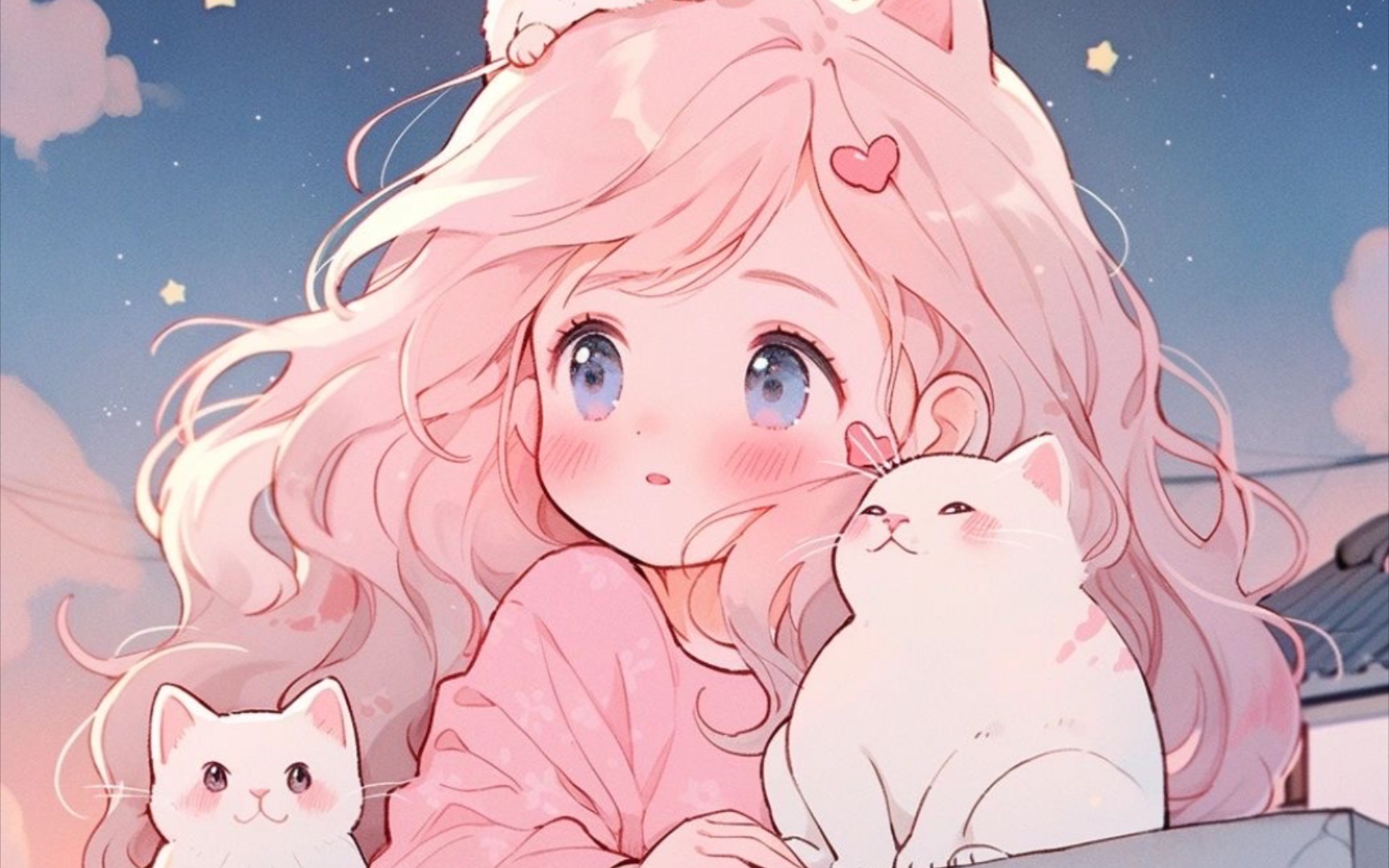 屋顶上的猫和少女