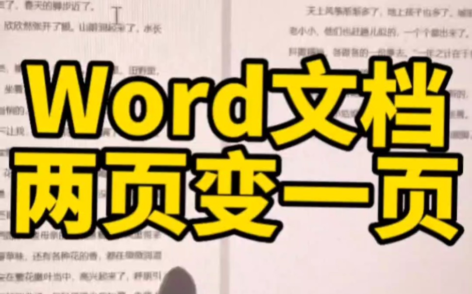 word两页一页显示哔哩哔哩bilibili