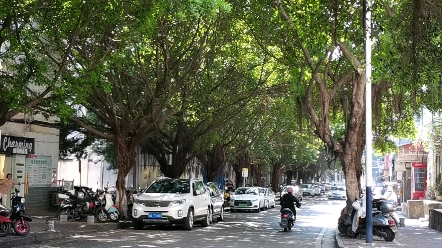 [图]林荫小道疏影斑驳～