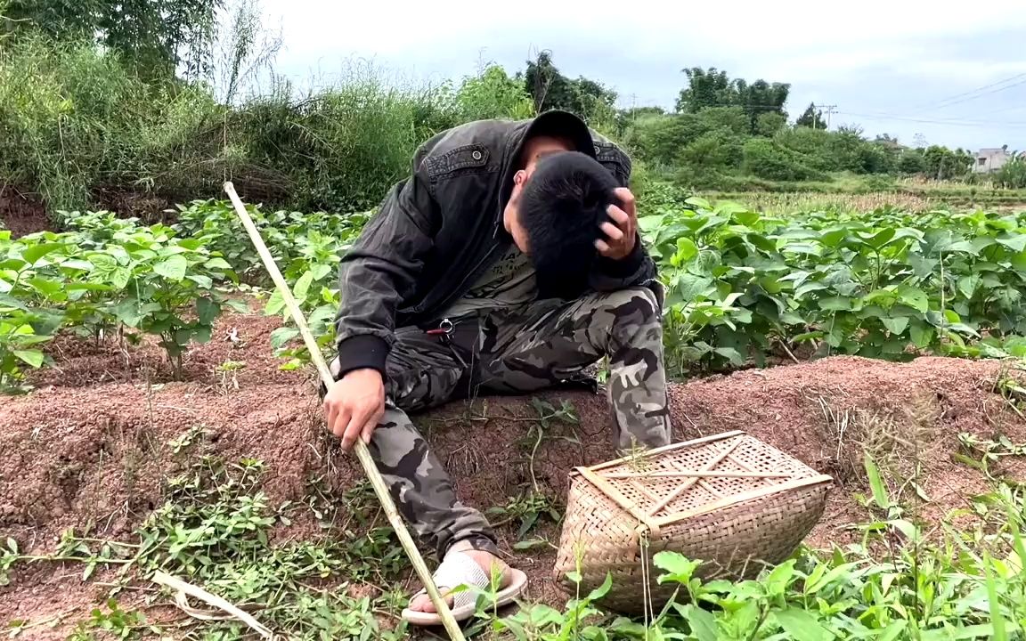 把财哥惹毛了,财哥直接把拐哥的笆篓踩了,拐哥又气又无奈哔哩哔哩bilibili