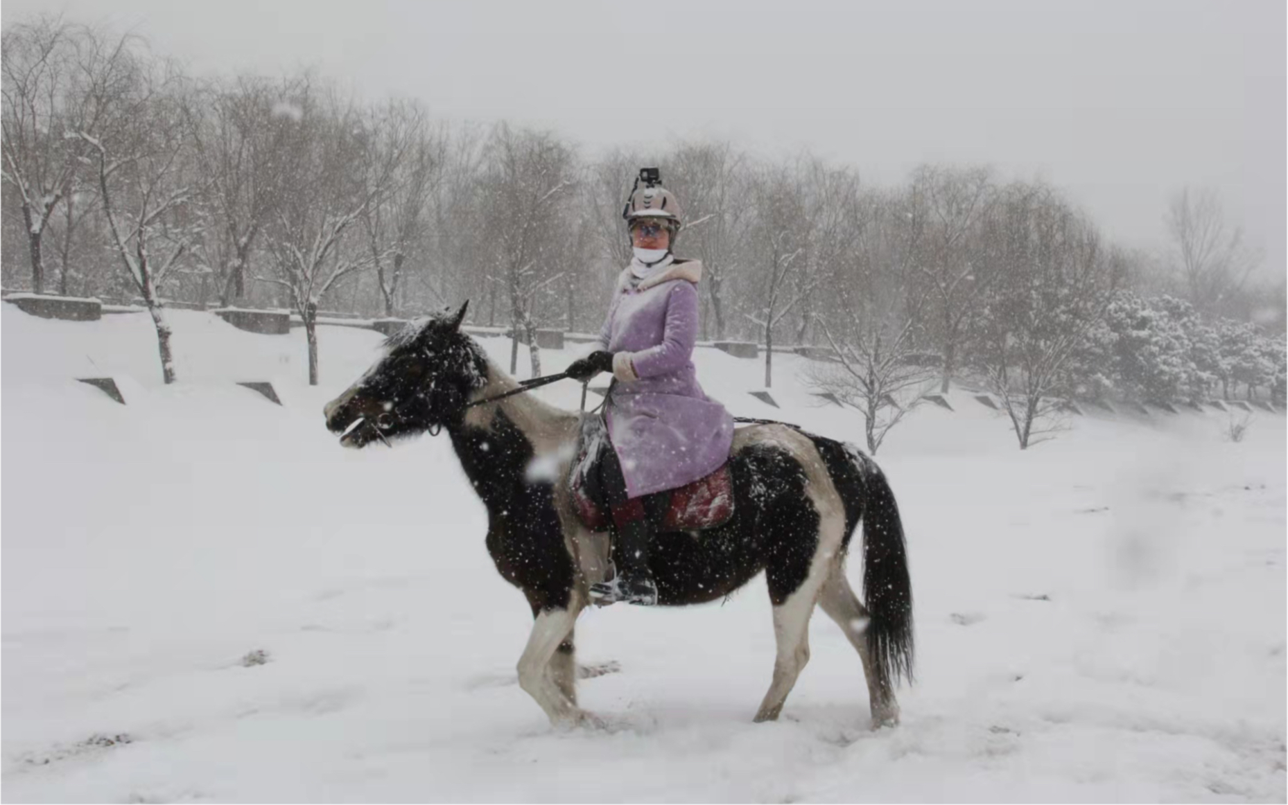 [图]20220213 飞蹄踏新雪 驰骋潮白河