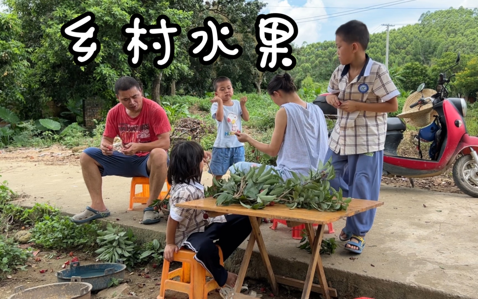 广西乡村的直生树荔枝,酸甜可口很是开胃,最适合孕妇和小孩食用哔哩哔哩bilibili