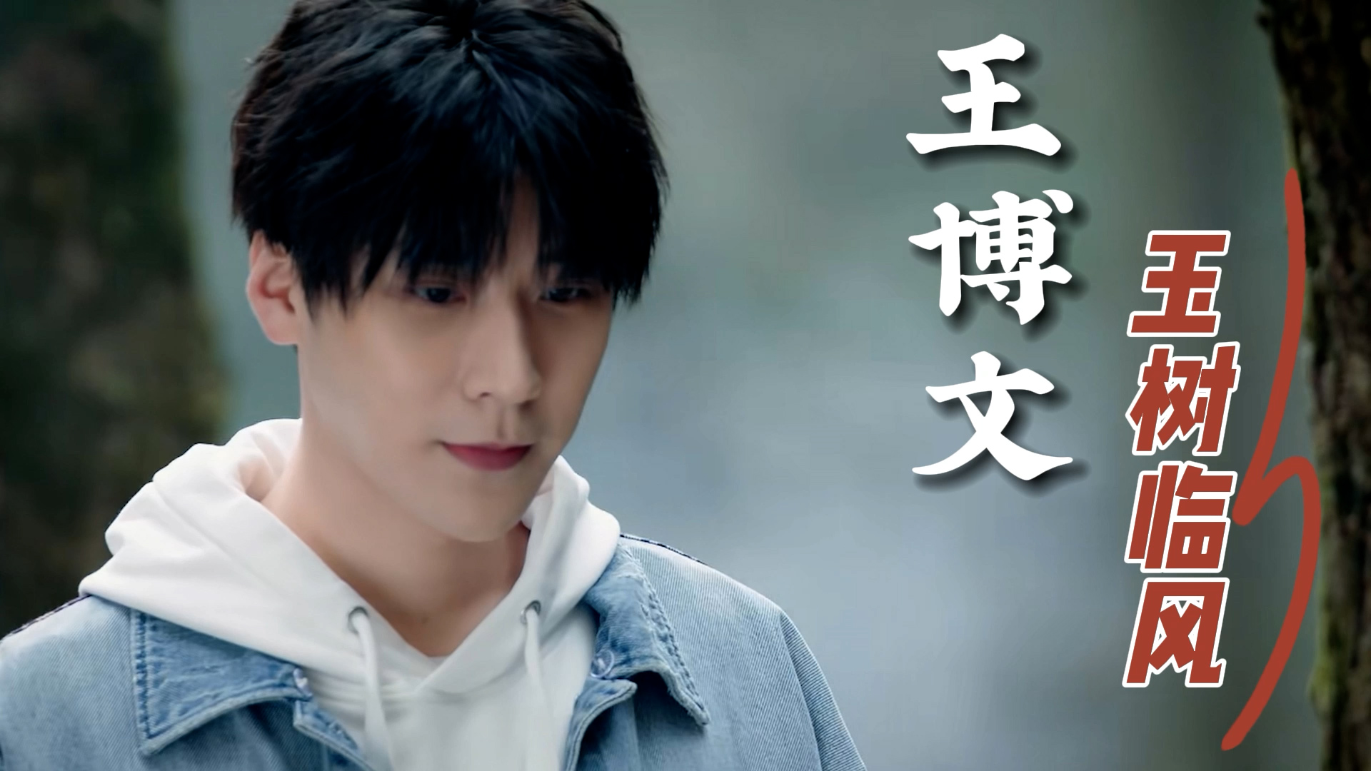 仪表堂堂李博文,俊俏的面容,让人难以忘怀