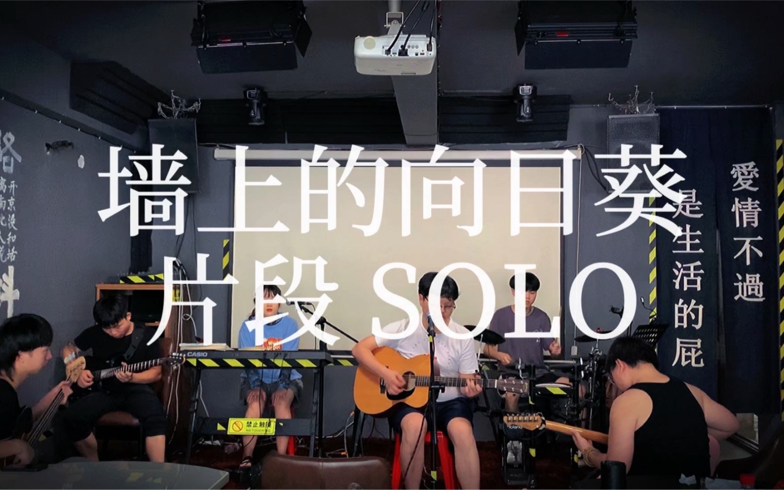 [图]墙上的向日葵间奏SOLO