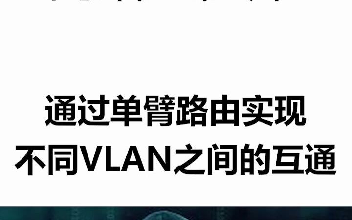 通过单臂路由实现不同VLAN之间的互通哔哩哔哩bilibili