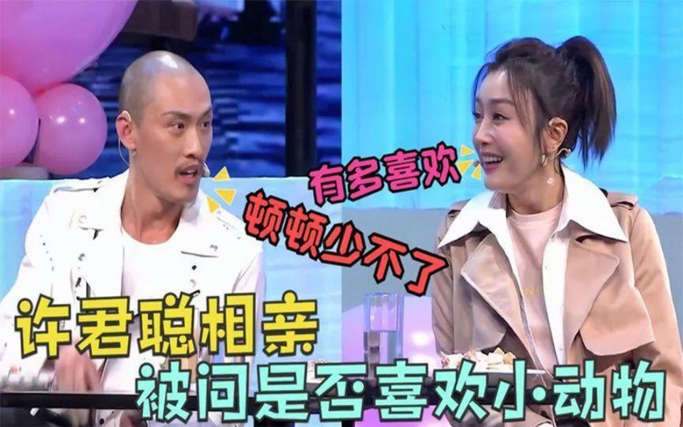 秦岚:你喜欢小动物吗,许君聪:每顿都有,明星神回答