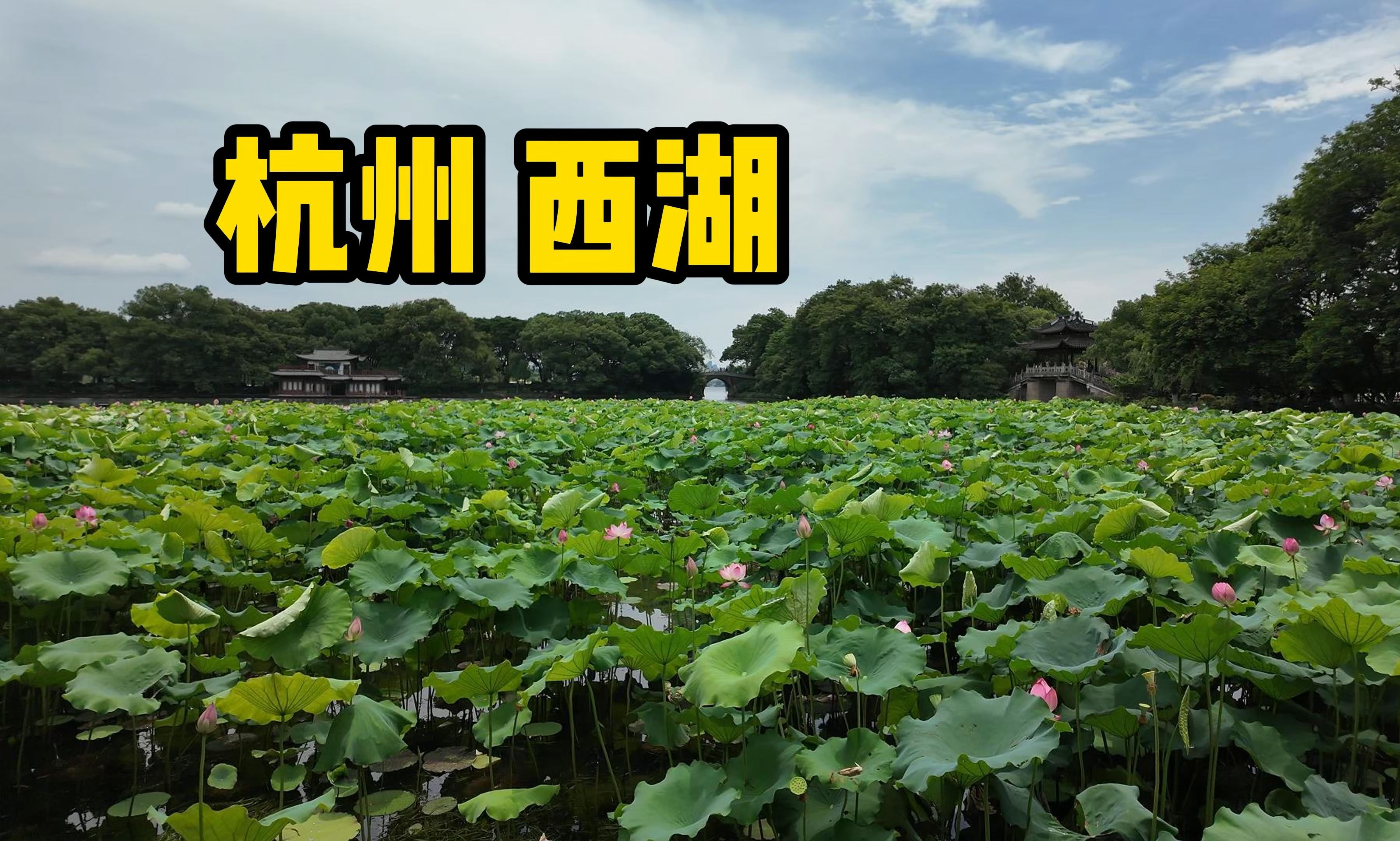 【杭州】(上)盛夏时节逛西湖,打卡西湖十景,登雷峰塔,听南屏晚钟,赏