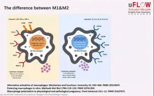 【学术讲座】巨噬细胞分型的指标选择、多色分型方案、实验优化细节&WorkFlow