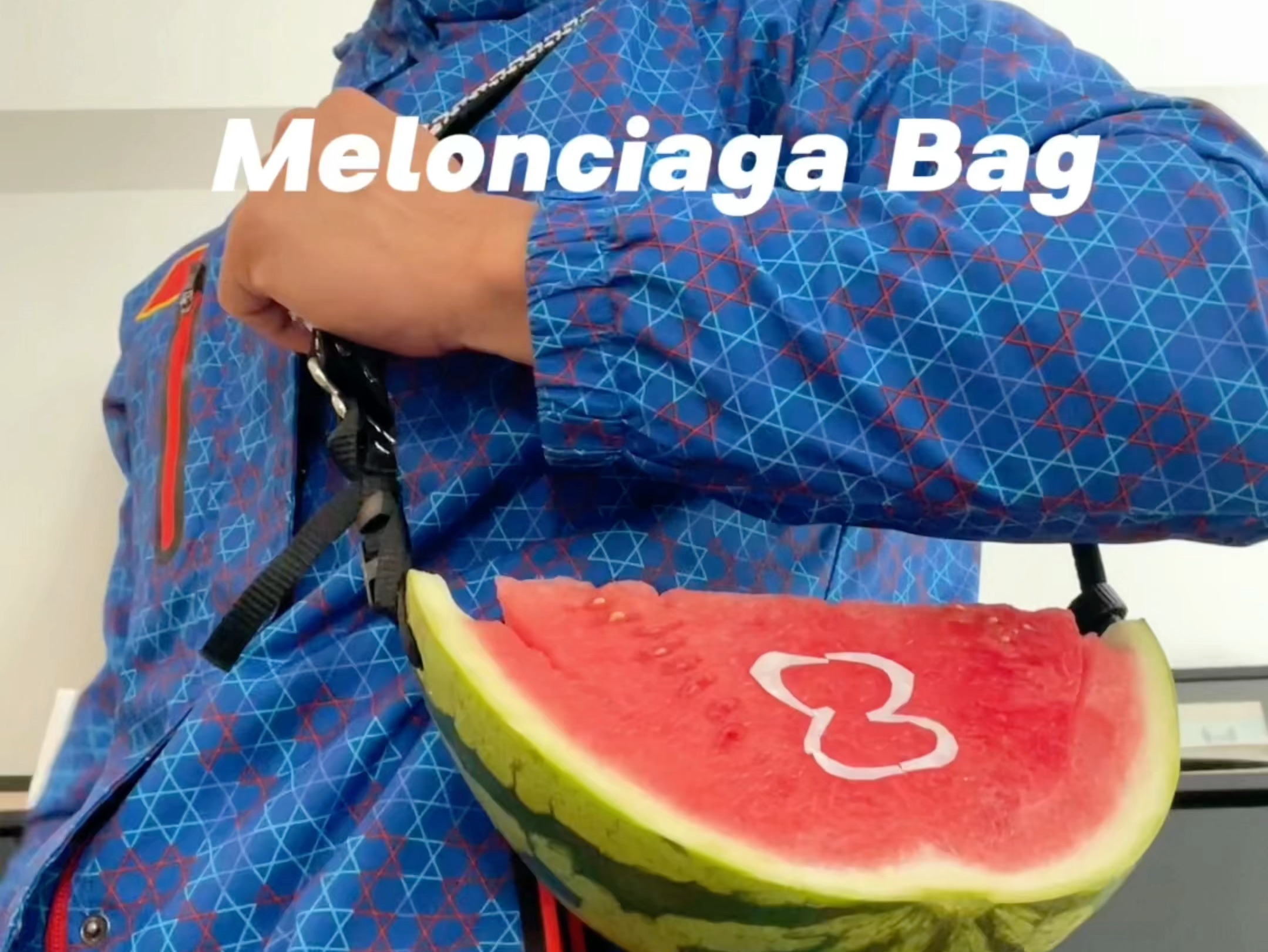 Melonciaga Bag哔哩哔哩bilibili