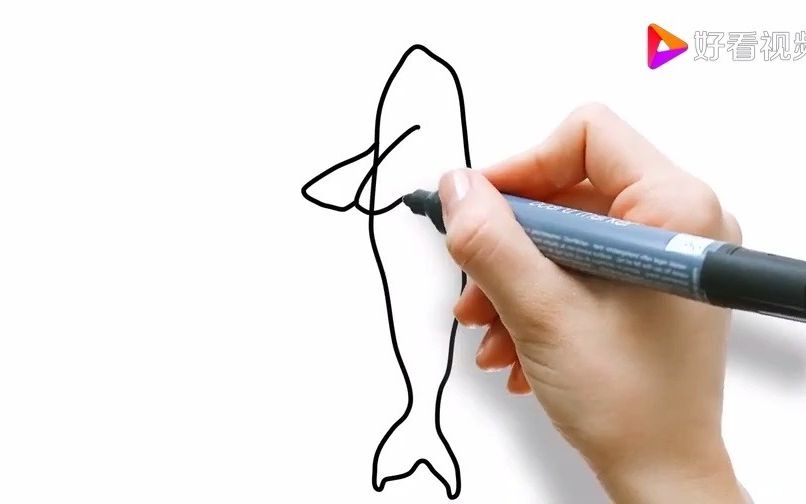 美术宝在线课堂分享:如何画好虎鲸宝宝