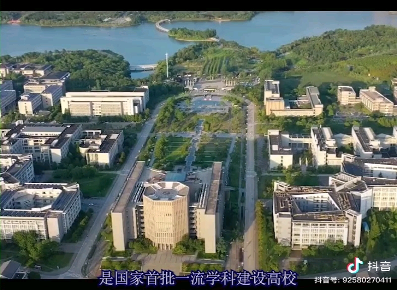 安徽最受欢迎的十所大学哔哩哔哩bilibili