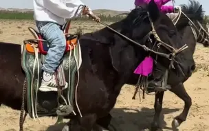 Скачать видео: 7岁内蒙古小女孩现场展示娴熟骑马技术。“马背上的民族果然名不虚传”