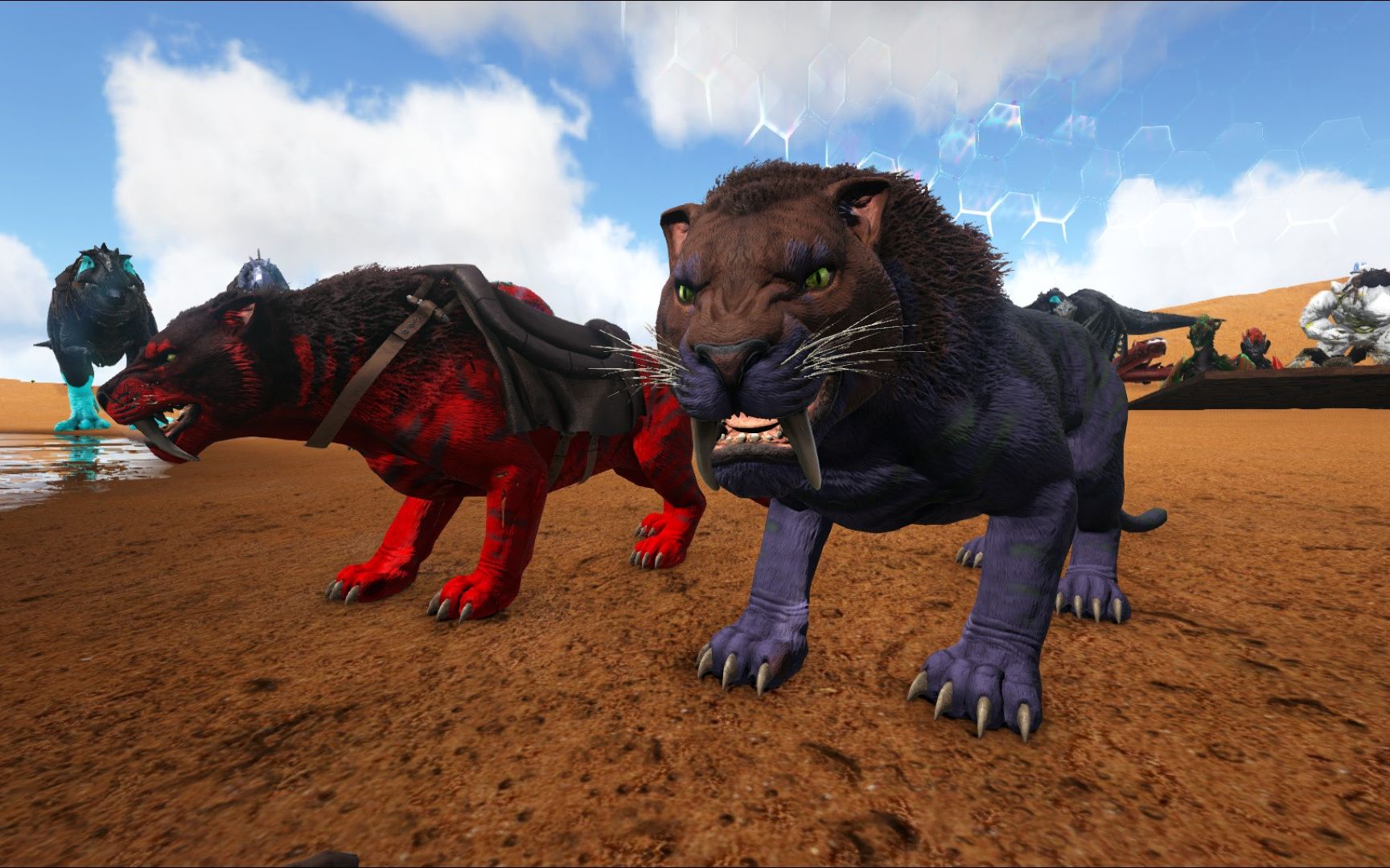 方舟生存进化:残暴时代 78 给开荒元老豹子找老婆 这母豹子太强悍了