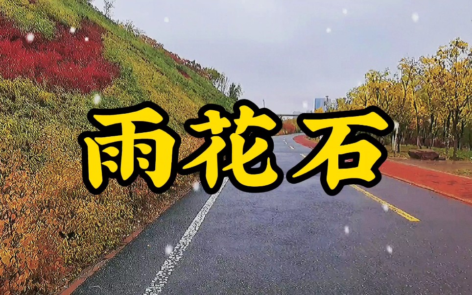 [图]李玉刚/石头的《雨花石》 欢迎大家欣赏！