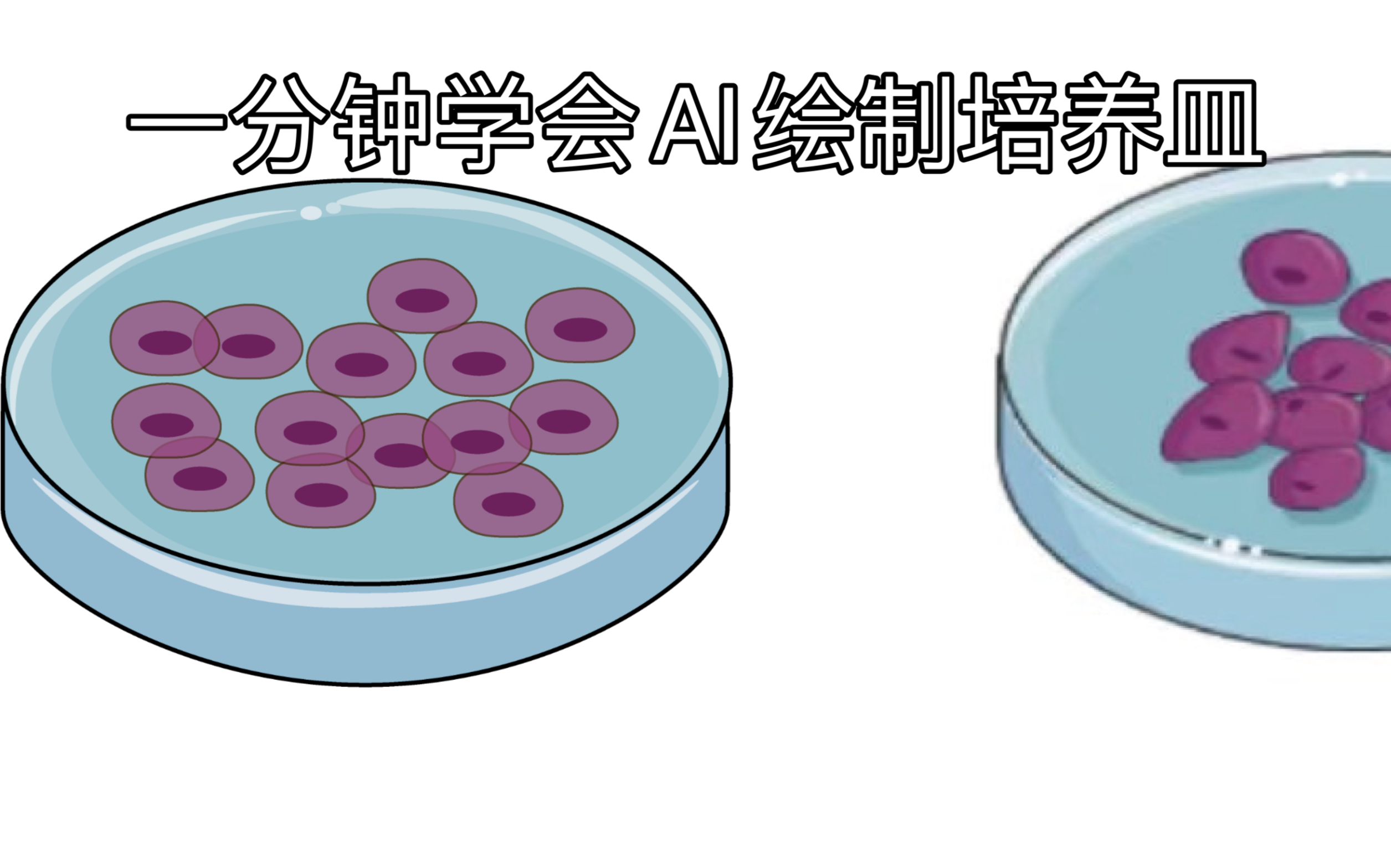 一分钟学会ai绘图(2)细胞培养皿