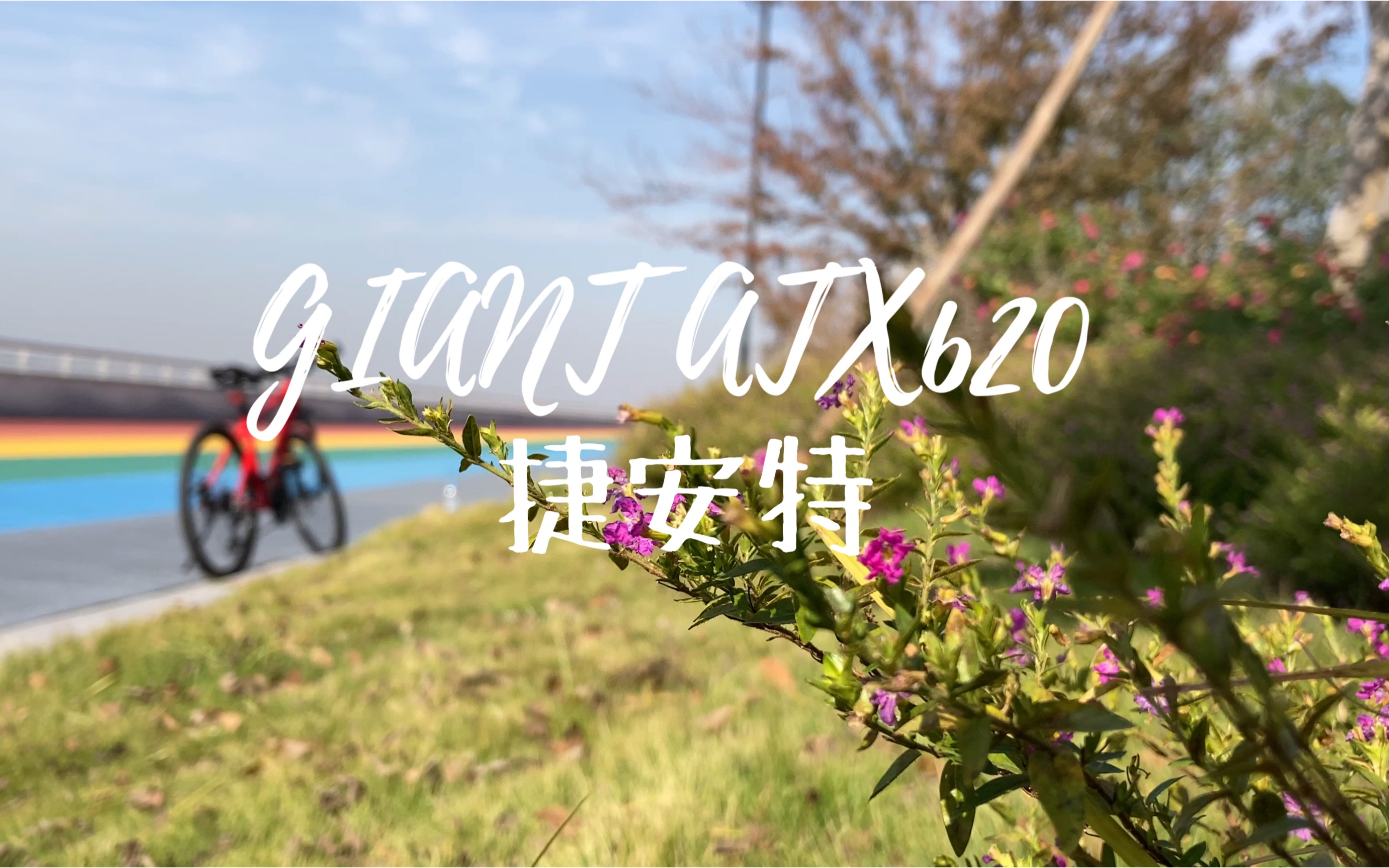 下午时光/捷安特GIANT ATX620哔哩哔哩bilibili