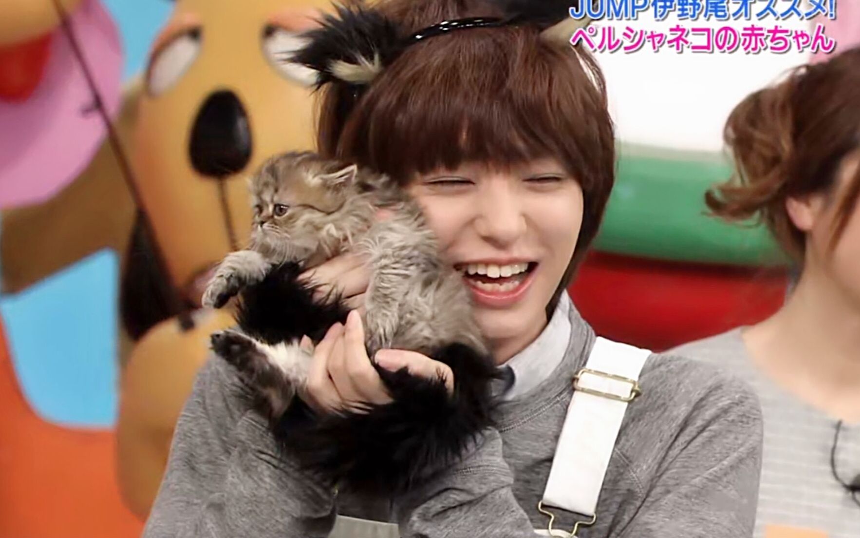 【伊野尾慧】谁家的猫猫呀|伊喵慧可爱合集