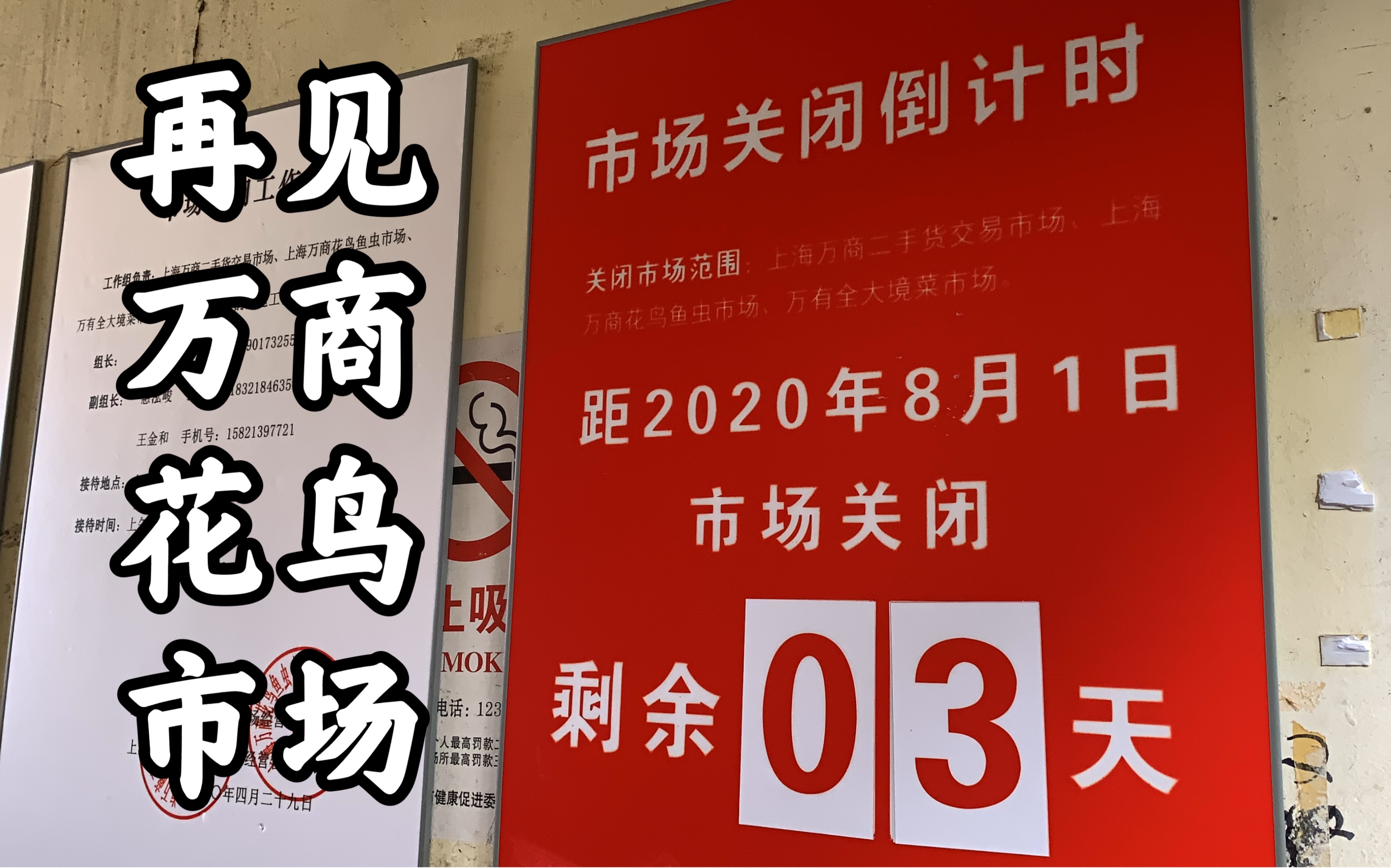 【腿哥逛街】挥挥手再见!「上海市中心最后一个大型花鸟市场万商花鸟市场」哔哩哔哩bilibili