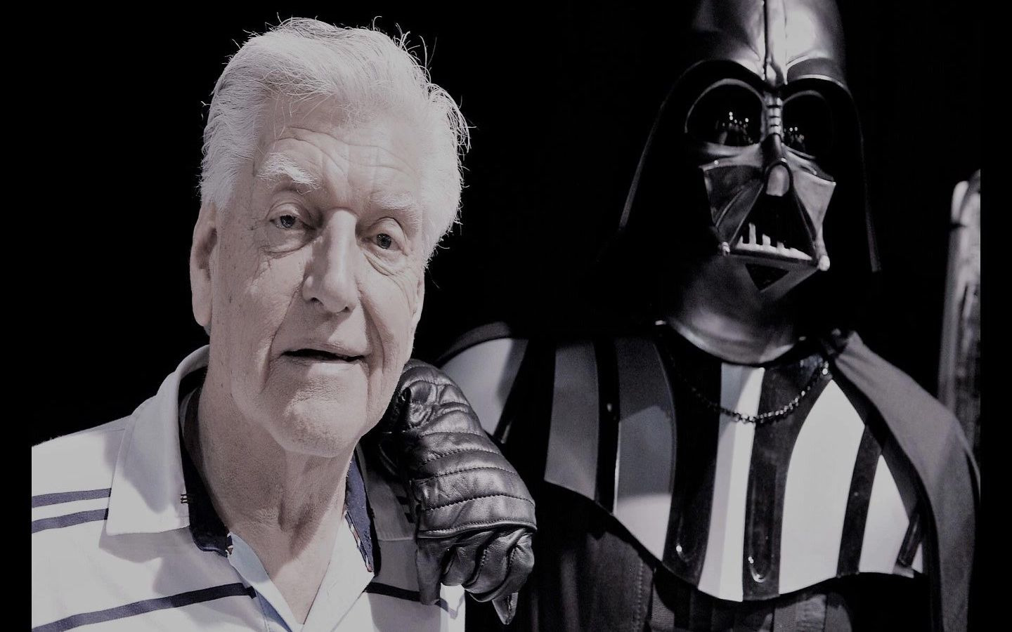 thestarkiller纪念大卫鲍罗斯