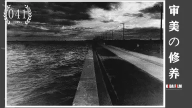 中平卓馬 一〇〇〇 中平卓馬 一〇〇〇 - 中平卓馬 | shashasha 写々者 - 写真集と