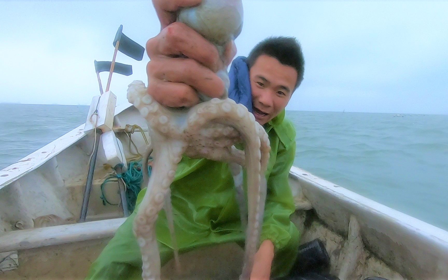 抓章鱼的季节到了阿烽的笼子里爬满了大章鱼收获意外的好