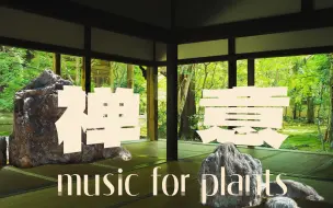 Download Video: 【Play my list vol.18】禅意庭园声场｜ambient｜quiet｜古典｜氛围｜电子