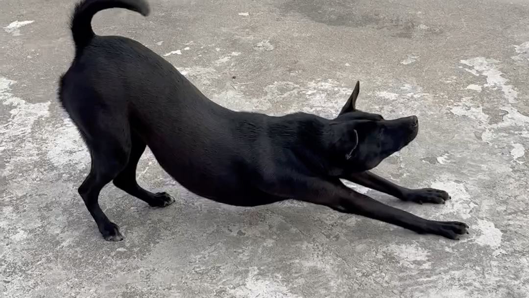 建勋日常第二弹