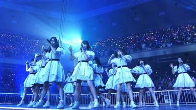 91++HaTaLYL._AC_UF1000,