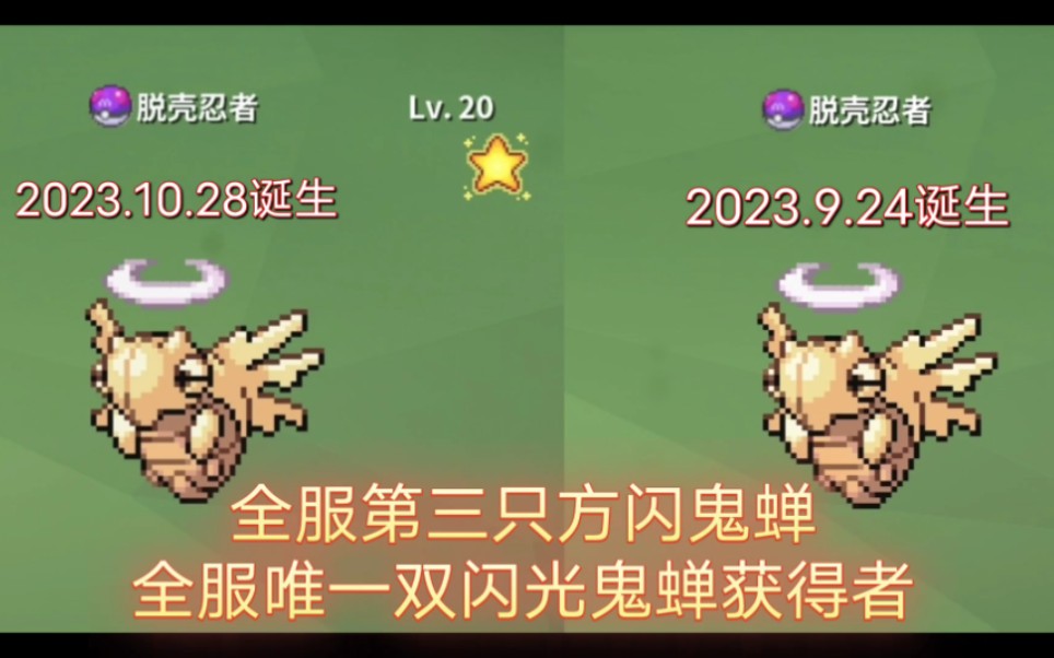 【pokemmo】全服第三只方闪鬼蝉诞生!!!网络游戏热门视频