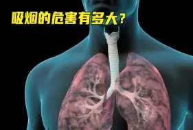 Tải video: 吸烟的危害，看完你还敢吸烟吗？