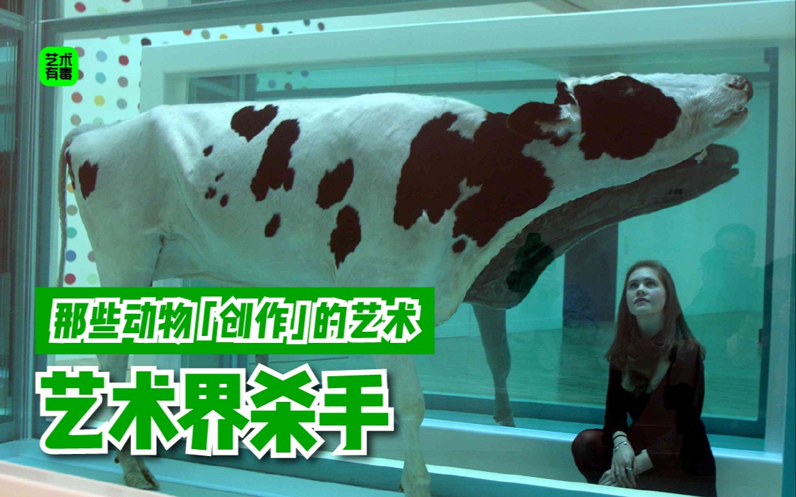 [图]艺术有毒｜Damien Hirst 以艺术之名杀生，算艺术吗？