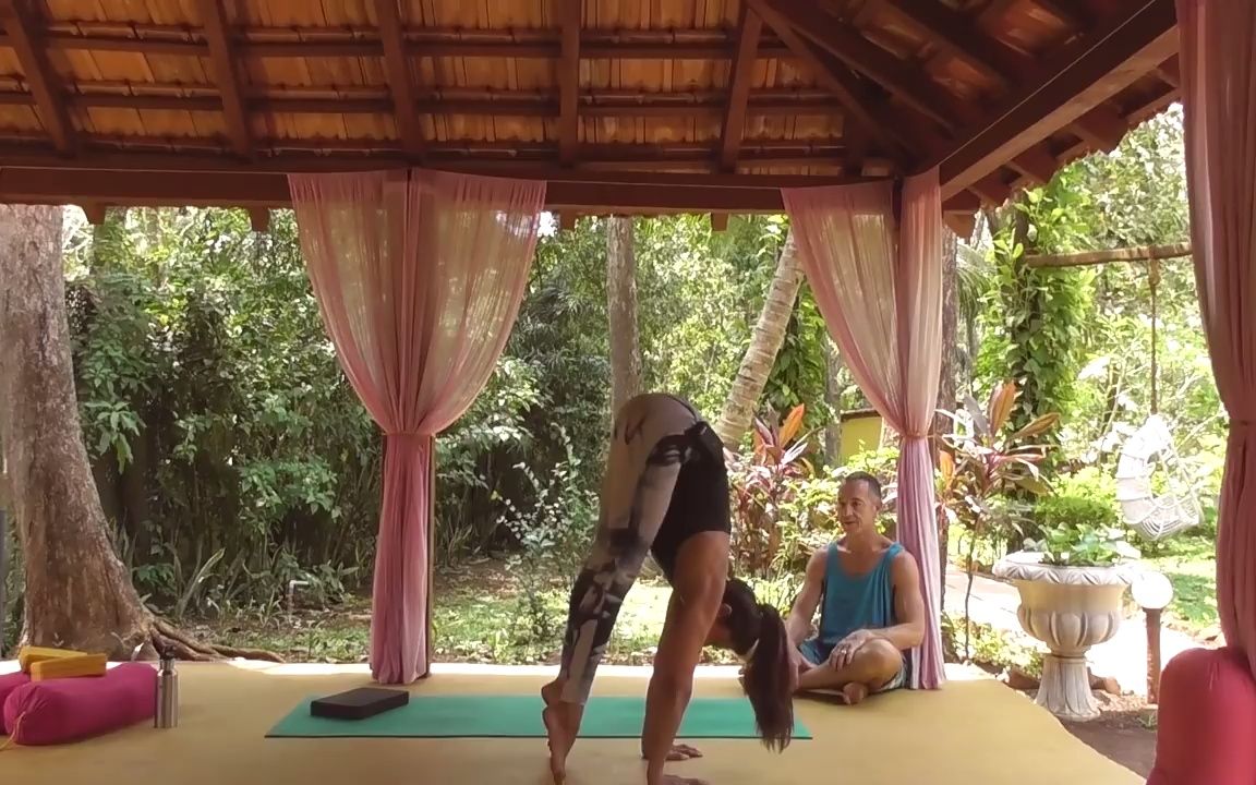 [图]个人最推崇的慢起手倒立方法：Tracey Mansell讲解慢起手倒立基础(Handstand Press Fundamentals）