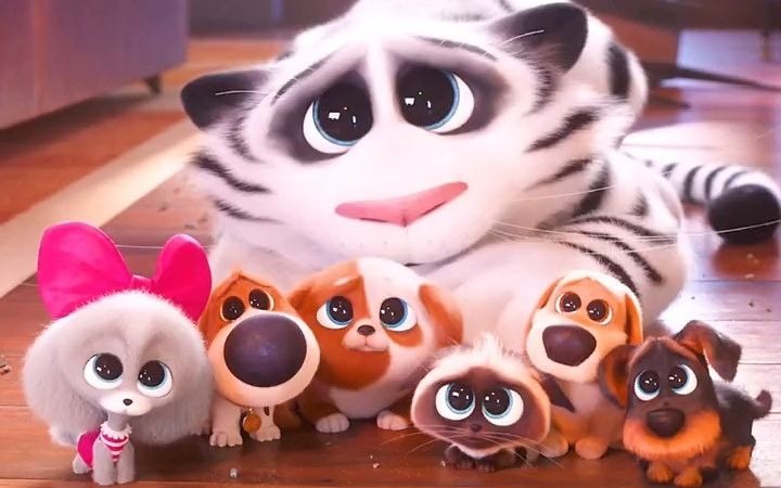 【爱宠大机密】一只会叫人起床的小脑虎_哔哩哔哩 (゜-゜)つロ 干杯