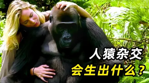 揭秘苏联“人猿杂交”实验:5名美女为科学献身,自愿参加人猿实验_哔哩哔哩_bilibili
