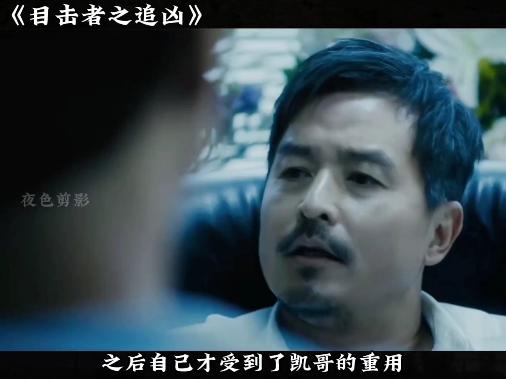 真相的目击者,无尽的追凶路…《目击者之追凶》