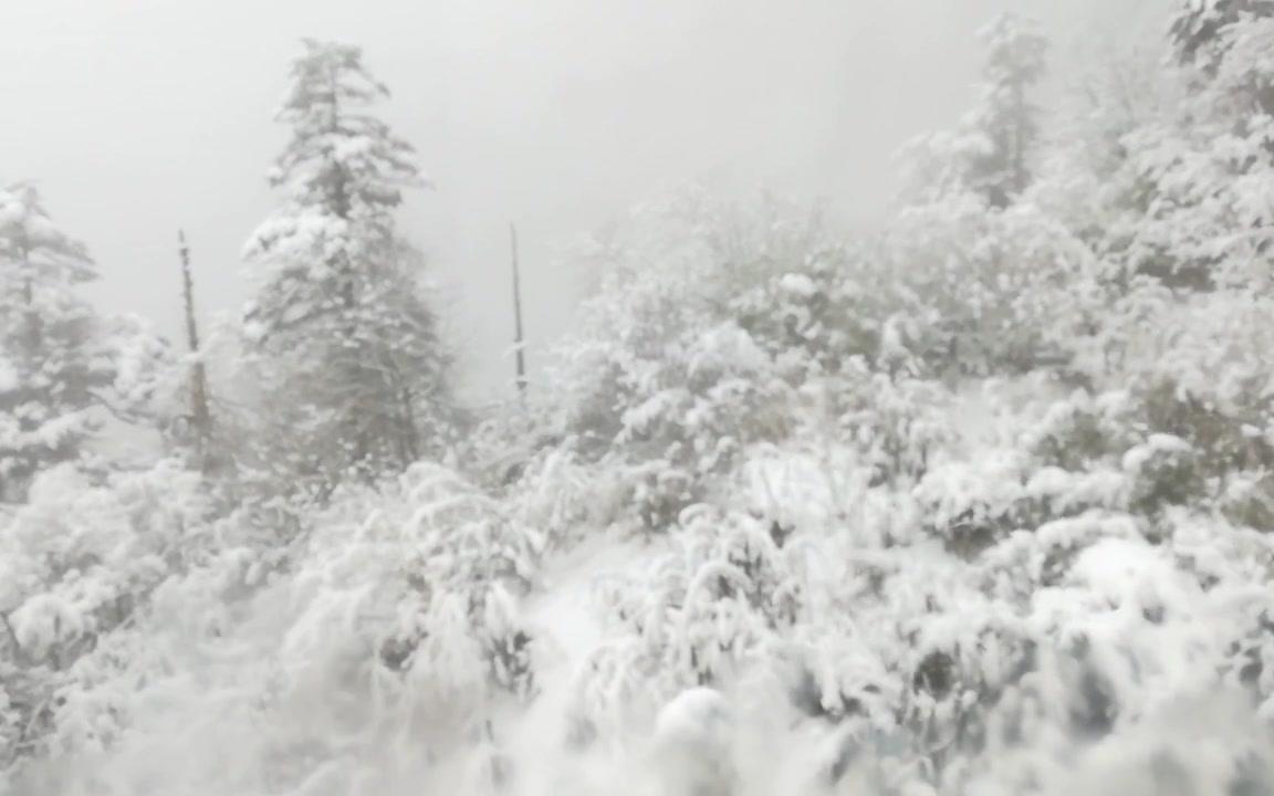 【峨眉山金顶】三分钟下行索道,大雪覆盖风景超美哔哩哔哩bilibili